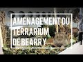 Amnagement terrarium de bearry