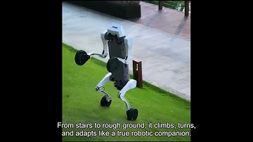 This Robot Dog Can Go Anywhere! | Four-Wheeled Mobility Redefined.