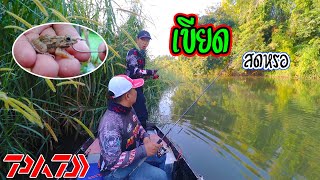 เขียดสดไล่ล่า หาไอ้ช่อนแม่น้ำ 99 โลโมเธอร์ ทำอาหารดงดิบ PADFISHING