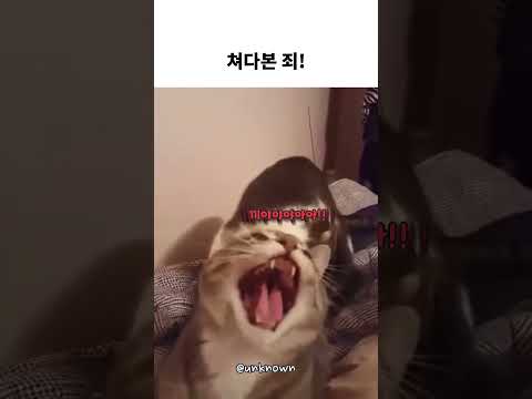 쳐다본 죄 thumbnail