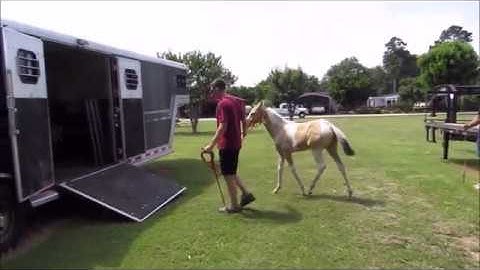 2018 Weanling loading video