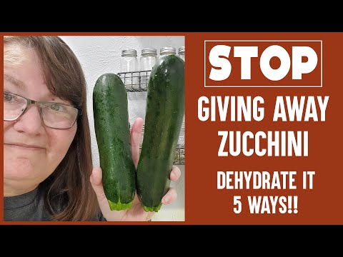 Dehydrating Zucchini in 5 Different Ways | Chips, Jerky, Shreds, Dices, Flour