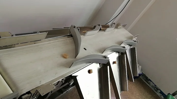 scallop weight sorting machine from Dahang factory