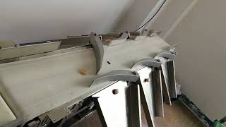scallop weight sorting machine from Dahang factory