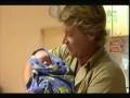 Steve Irwin hears the news about his 2nd child.