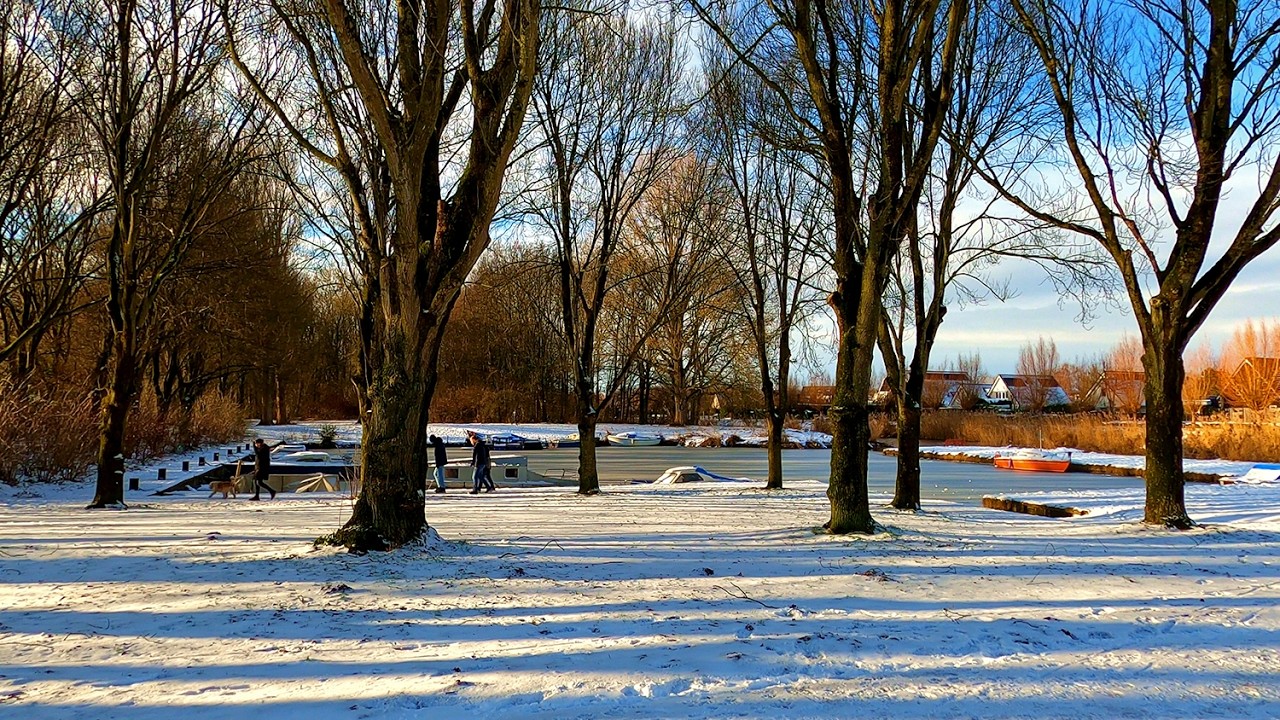 Relaxing Winter Walk | Snow, Overcast Skies & Sunshine