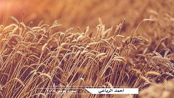 أحمد الرياعي - سورة يونس (8-20)
