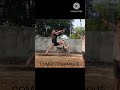 Combo Technique// #mma #taekwando #muaythai #martialarts #tutorial