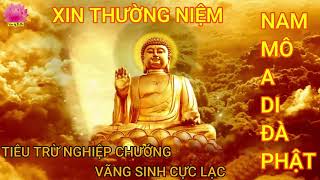 NGHE và NIỆM PHẬT 30 phút mỗi ngày. Tiêu trừ nghiệp chướng- Giải hạn cả năm