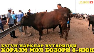 ХОРАЗМ МОЛ БОЗОРИ   НАРХЛАР КУТАРИЛДИ БУГУН  8-ИЮН 2022