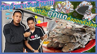 ทิตจ๋าขอล่าหาตุ๊กแกเงินแสน l น้องพี่หนี้เรา ☻ EP.51