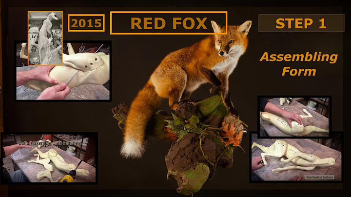 Step 1 ~ Red Fox ~ Assembling a Form in Minutes