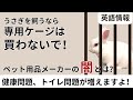 ケージ飼育による負の連鎖　うさ活３