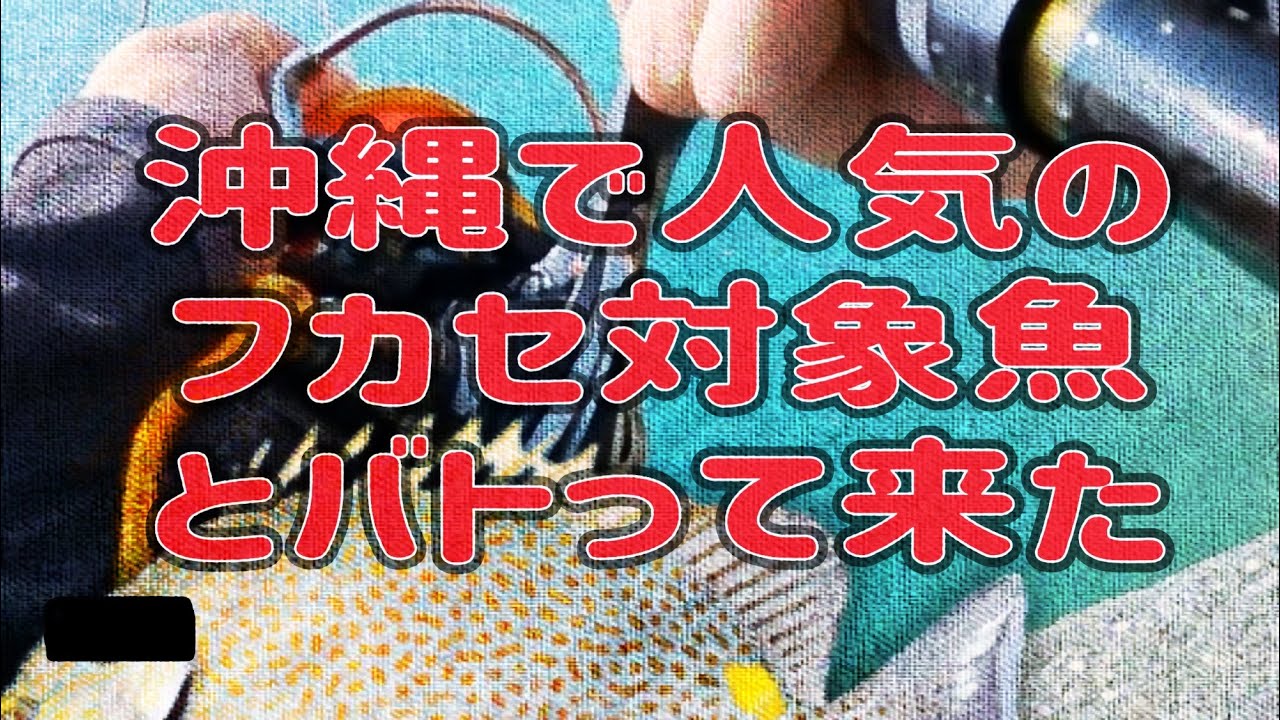 沖縄南部の漁港でカーエー狙い！竿曲げられ撃沈！level.4