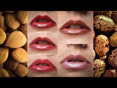 Vernis à Lèvre Zao Bio Cruelty Free Et Vegan