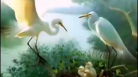 三世因果（陈星演唱歌曲）