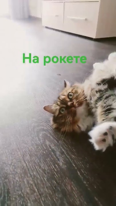 На рокете литит милашка. - YouTube