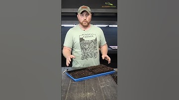 How To Keep Soil Blocks From Drying Out