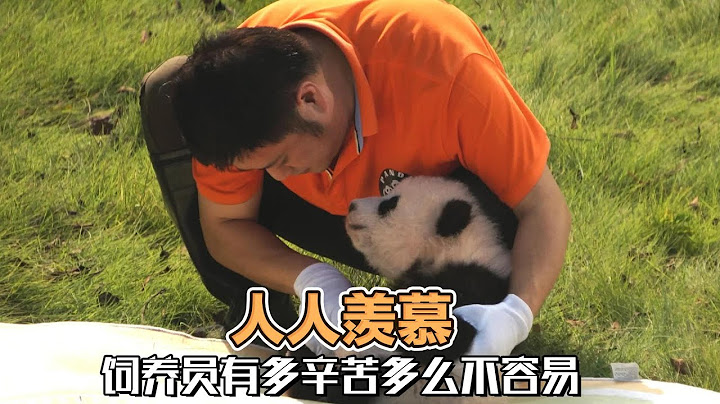 国内真的从来不缺好的饲养员，他们每天都默默的为国宝付出，就这样还经常被网爆。他们真的值得我们尊敬