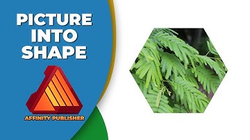 How to insert a picture into a shape in affinity publisher