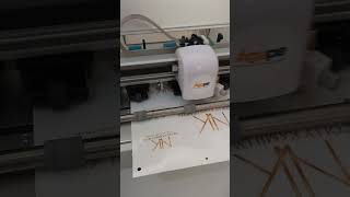 Adesivos transparentes com Vinil e a Plotter da Mecolour