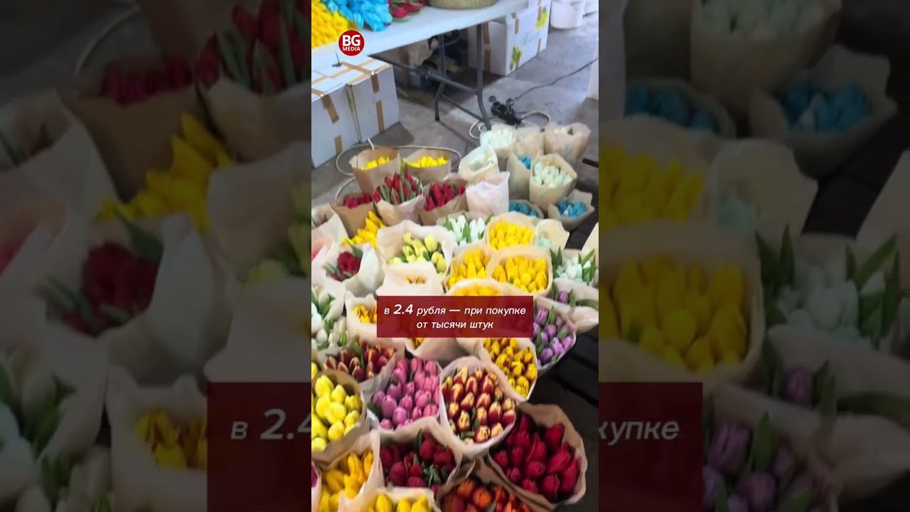 Во сколько обойдется букетик тюльпанов на 8 марта: беларусы делятся стоимостью цветов