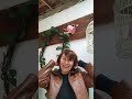 Ednelia Rosa está ao vivo!