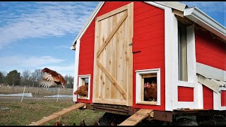 HUGE Mobile Chicken Coop