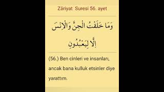 Sure Zariyat Ayet 56