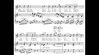 Donizetti - Spirto Gentil (piano accompaniment)