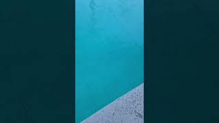 IMG 6105