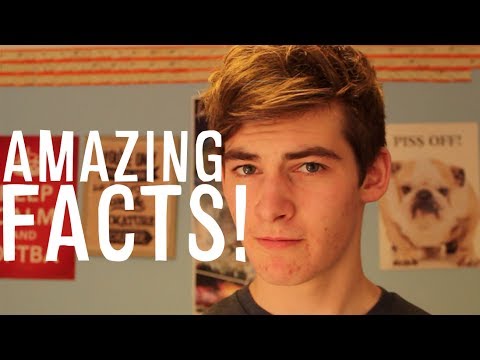 AMAZING FACTS YOU WON'T BELIEVE (and probably shouldn't)