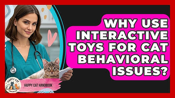 Why Use Interactive Toys For Cat Behavioral Issues? - Happy Cat Handbook