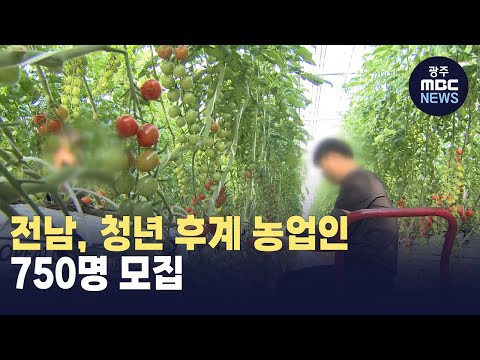전남, 청년 후계 농업인 750명 모집