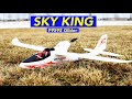 Easy to Fly RC Powered Glider Plane for Beginners - Plenty of Fun!  Sky King F9595 WLToys