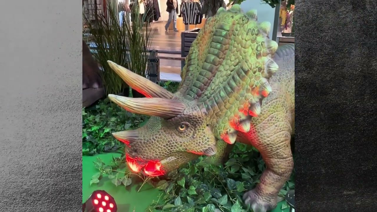 Dinosaurs 🦕 🦖 park 🦕 