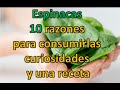 Espinacas: 10 razones para consumirlas, curiosidades y una receta deliciosa