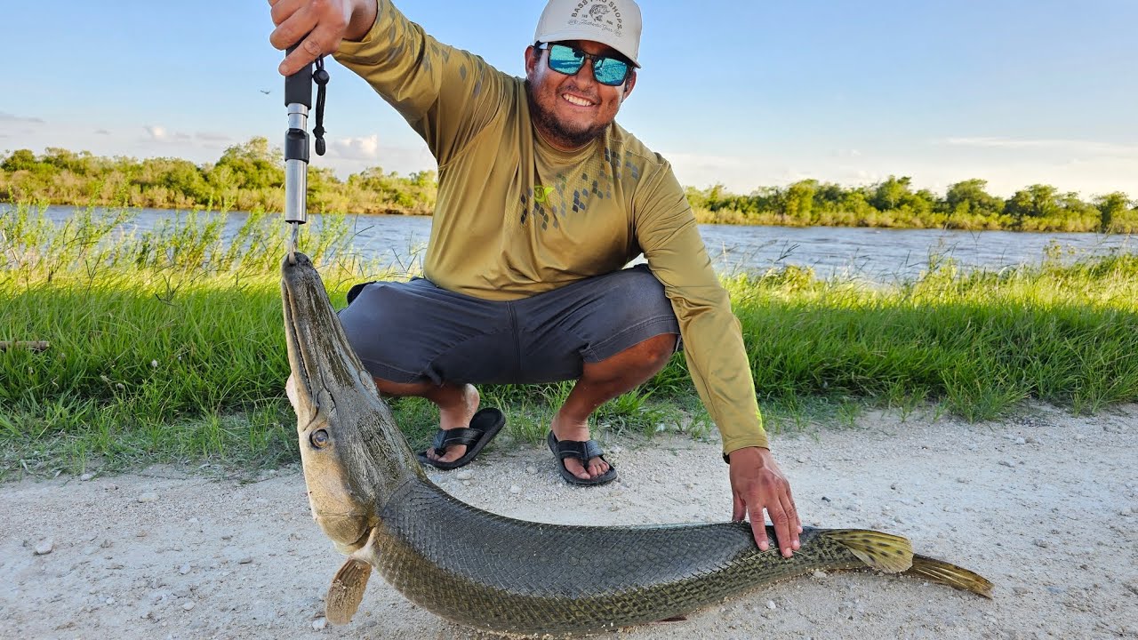 Catching Dinosaurs foryou fyp saltlife garfishing garfish fishing