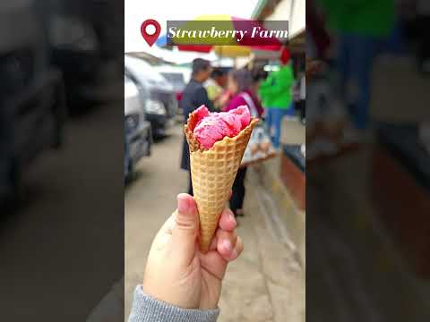 Go to these places when you visit Baguio!