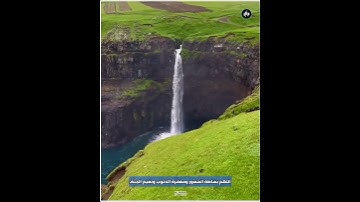 ﴿وَعَدَ اللَّهُ المُؤمِنينَ وَالمُؤمِناتِ جَنّاتٍ تَجري مِن تَحتِهَا الأَنهارُ﴾بصوت القارئ فارس عباد