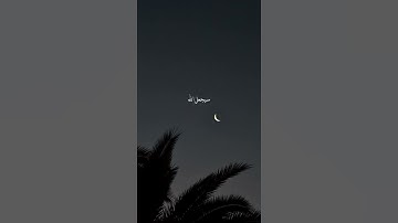 تلاوه هادئه تخشع لها الصدور للقارئ رعد الكردي إلا بذكر الله تطمئن القلوب 😴❤️❤️  قرآن كريم