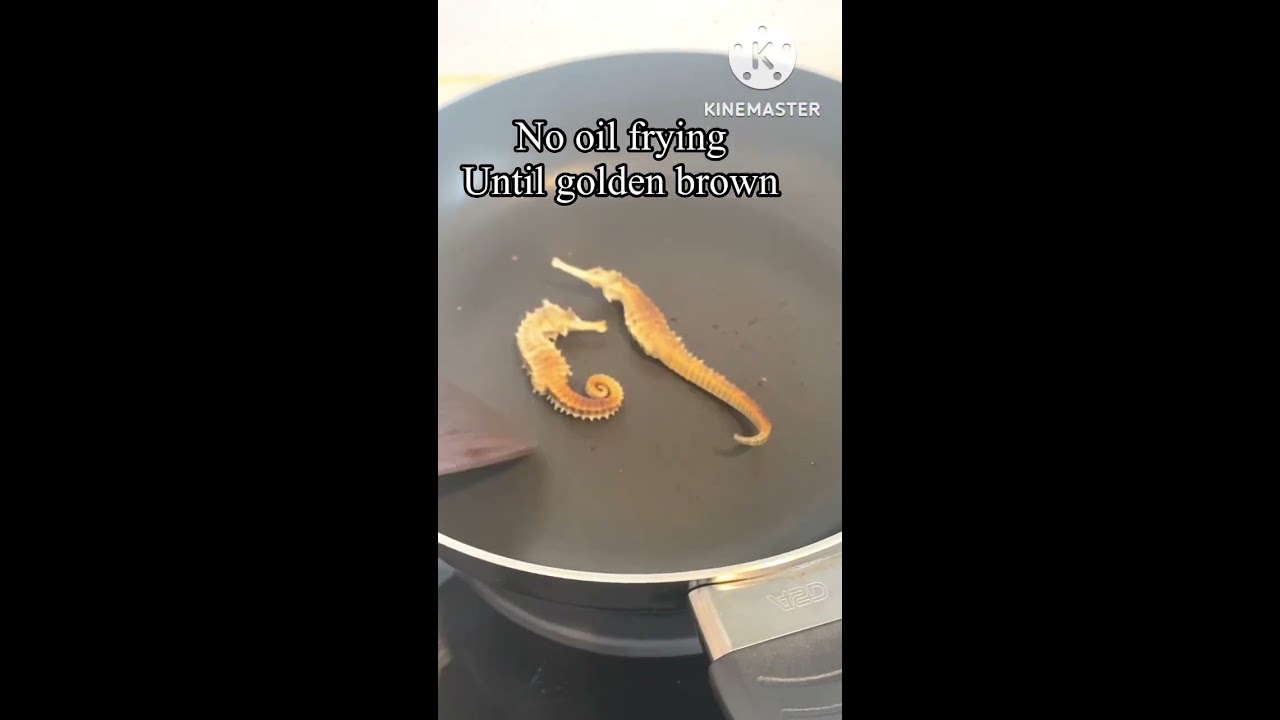 Seahorse Frying Part 2 Satisfyingvideo Trending