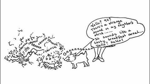 Five Easy Plants to Prune, Part 2: Evergreen Azalea Pruning