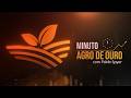 Soja, vitória do agro, novo RJ, carne x rivais e crise histórica | MINUTO AGRO DE OURO - 13/06/26