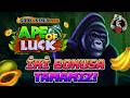 💎 EGT DIGITAL VIP SLOT | APE OF LUCK GODS &amp; KINGS LINK | BIG WIN