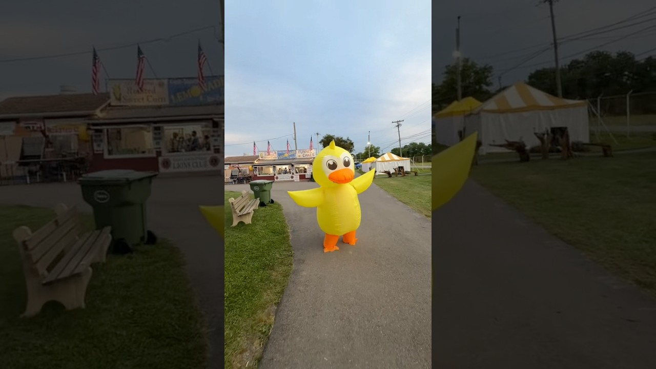 Duck on the loose at the Farmers Fair
