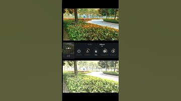 Colour grading in vn app| vn editing.        #vn #editing #shorts