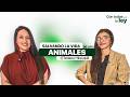 🦾La Empresa innovadora que le está devolviendo la esperanza a animales y familias.|Tatiana Hincapié.