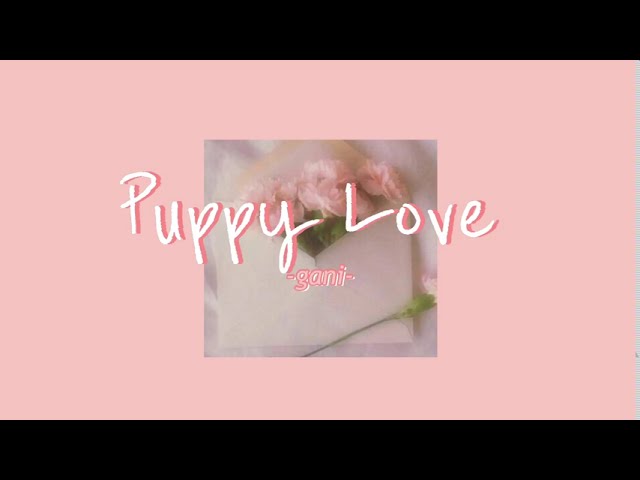 puppy love - gani //lyrics class=