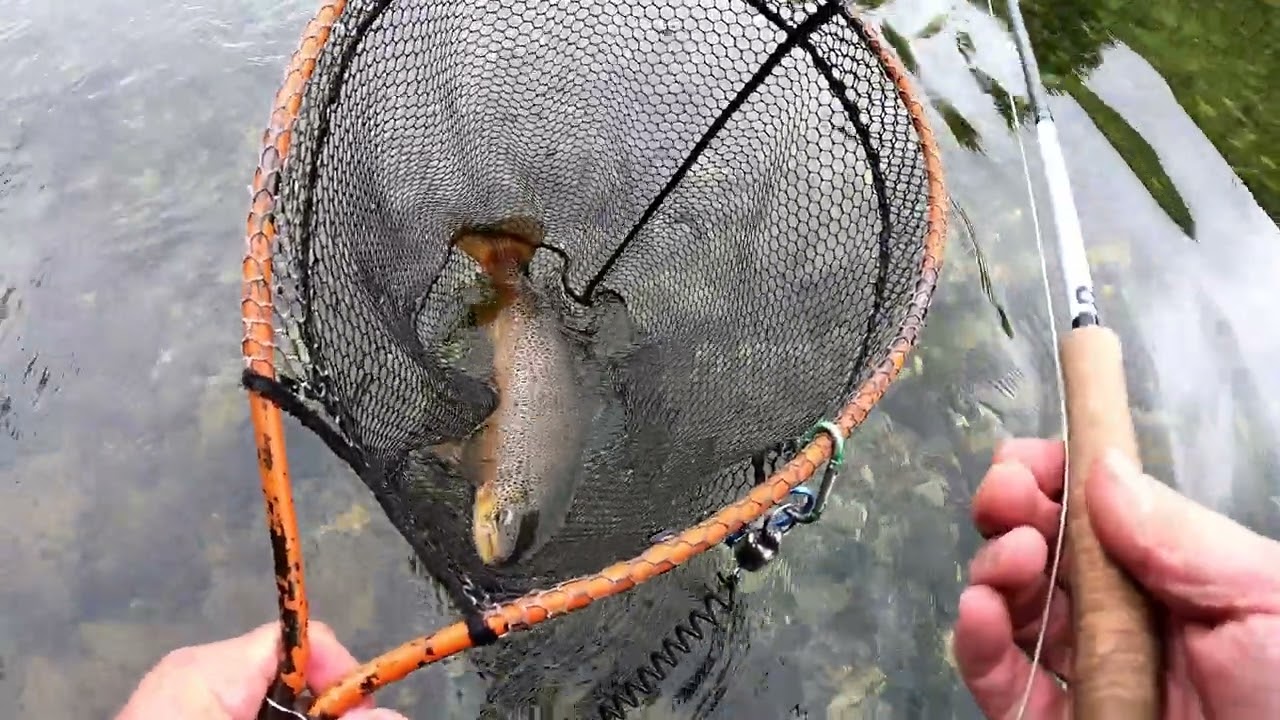 Flugfiske i Saxnäs juni 2025 finalen